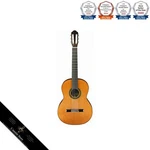 Aria A-100C Classical Guitar Cedar And Rosewood All Solid Outlet Japan. Fixed Price $883.07.