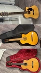 Lucero Cordoba Fender Acoustic-electric Guitar Spruce Cutaway + Gig Bag. Fixed Price $1000.00.