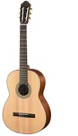 Walden N550E Classical Natura 500 Series Guitar. Fixed Price $469.00.