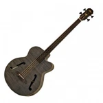 Aria Full Scale Fretless Acoustic Electric Bass Guitar Stained Black FEB-F2/FL. Fixed Price $579.00.