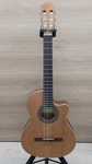 Alhambra Nature Ez Electric Acoustic Guitar. Fixed Price $629.99.