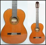 Takamine PT-307 Classical Guitar, Electric Made Japan, 1980S, With Hc. Fixed Price $500.00.