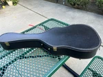 Ibanez GA120S Andorra Classic Recital Acoustic Guitar - With Case. Fixed Price $350.00.