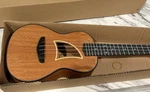 Eddy Finn C-10 Ukulele (nib) W/ Gig Bag Concert. Fixed Price $79.99.