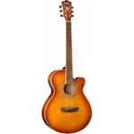 Washburn EA15ITB Festival Mini Jumbo Acoustic Electric Guitar, Tea Burst. Fixed Price $359.00.