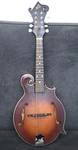 The Loar LM-310F Hand-carved F-style Mandolin Vintage Brown. Fixed Price $350.00.