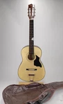 Gremlin G10S 6-STRING Acoustic Guitar Natural Student Model Steel Reinforced. Fixed Price $49.95.