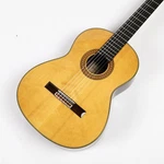 Yamaha GC-31 Used Natural W/hard Case. Fixed Price $903.99.
