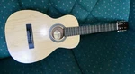 Harmony Classical Guitar - Model 762H910 C. 1962 Original Case.. Fixed Price $300.00.