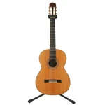 Takamine Classic No. 10 Acoustic Guitar. Fixed Price $736.99.