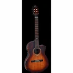Ortega Ds Suite-ce Concert Guitar With Pickup. Fixed Price $757.03.