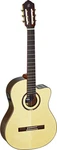 Ortega Guitars RCE158SN Feel Series Slim Neck Acoustic Electric Nylon 6-STRIN.... Fixed Price $649.99.