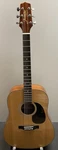 Jasmine Acoustic Guitar. Fixed Price $179.95.