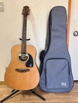 Epiphone PR-200D Acoustic Electric Guitar. Fixed Price $440.94.