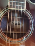 D'angelico Premier DASC10SBRG Acoustic-electric Guitar Brown Cutaway 6-STRING. Fixed Price $285.00.