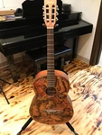 Fender Classical Guitar W/custom Paint ESC105. Fixed Price $499.99.
