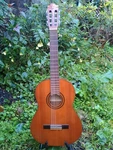 Yamaha G-231 Classical Guitar, 1978-80, Very Good Used Condition. Fixed Price $295.00.
