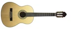 Peavey Delta Woods Cns 3/4 Classical Nylon String Guitar. Fixed Price $180.45.