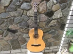 Acoustic Six-string Guitar , Hohner Model HC06. Fixed Price $299.99.