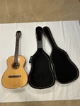 Euc Giannini Guitar 70S Brazil Acoustic Hardsided Case Model Awn 85 Vintage. Fixed Price $299.99.