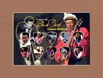 Chuck Berry Matted Picture Guitar Pick Set Limited Nadine Maybellene. Fixed Price $25.50.