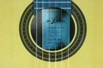 Aria AC-50A Alto Guitar, Spruce, Sapele. Fixed Price $961.00.