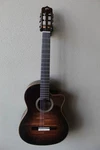 Brand New Cordoba Fusion 12 Acoustic/electric Classical Guitar - Cinnamon Burst. Fixed Price $999.99.