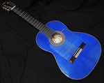 Esteve Gipsy Kings By Andre Reyes Blue Flamenco Guitar Gypsy Safe Delivery From. Fixed Price $3152.35.