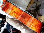 Nice Mint Yamaha Cg 151S Classical Guitar, African Rosewood, Spruce Top + Case. Fixed Price $699.00.