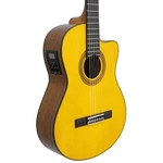 Aria Classical Guitar With Built-in Preamp Solid Spruce Top Mahogany Back. Fixed Price $754.22.